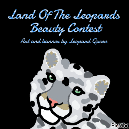 beauty contest - 免费动画 GIF