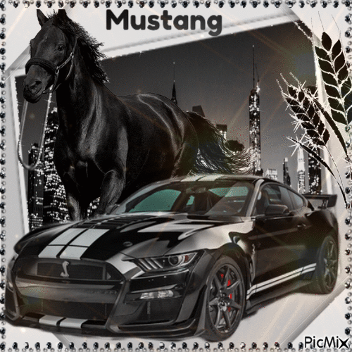 American Mustang Pferd und Auto - Бесплатный анимированный гифка