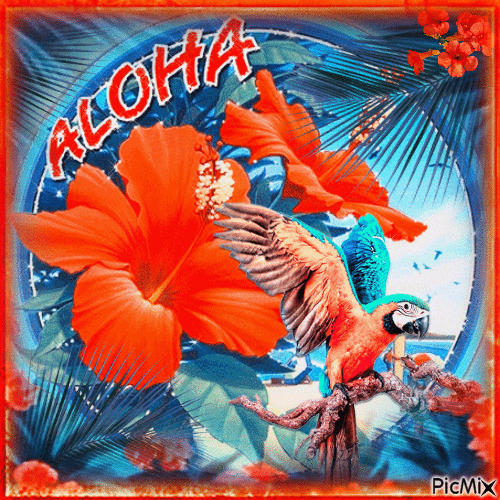 ALOHA - Zdarma animovaný GIF