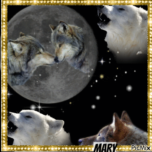 Bonne nuit les loups - GIF animado grátis