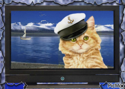 Amazing Cat - GIF animate gratis