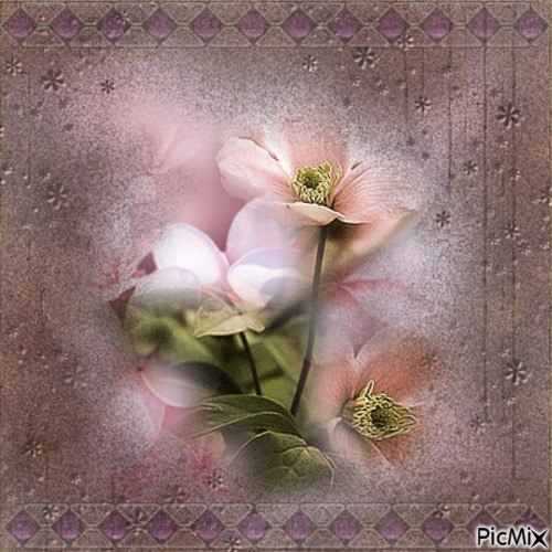 Blumen - flowers - nemokama png