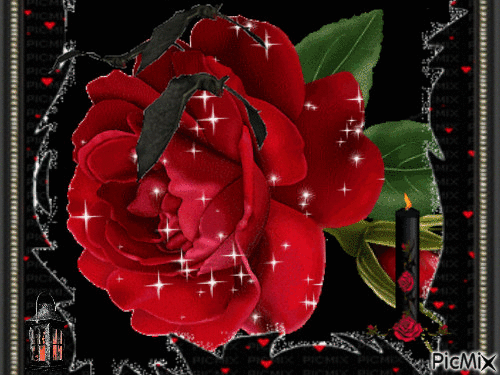 La rose - Δωρεάν κινούμενο GIF