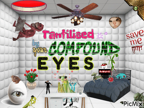compound eyes - GIF animasi gratis