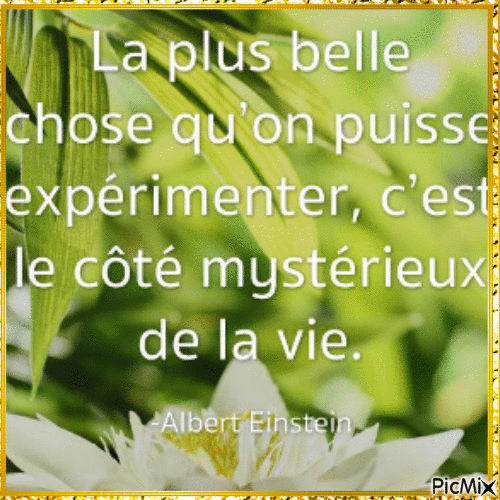 Citations, proverbes - Free animated GIF