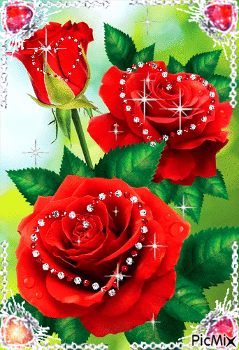 Розы - Nemokamas animacinis gif