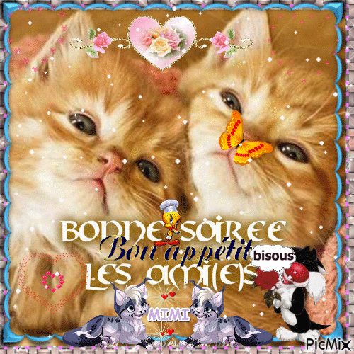 BONNE SOIREE BONNE APPETIT LES AMI(E)S - Безплатен анимиран GIF