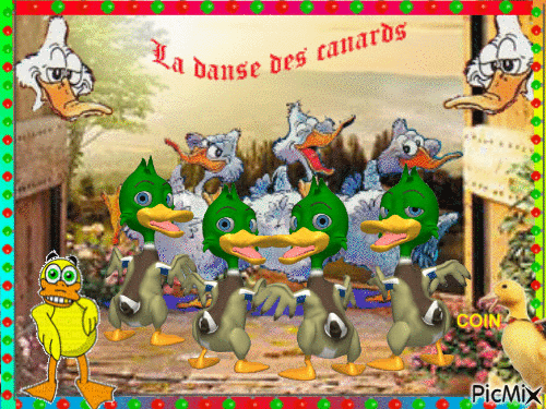 disco dance des canards - GIF animado gratis