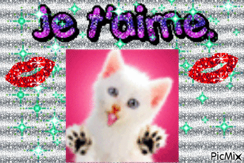 love cat - Bezmaksas animēts GIF