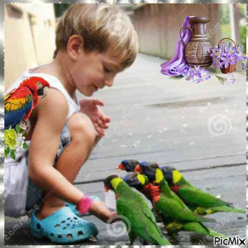L'Enfant et les Perroquets - Gratis animeret GIF