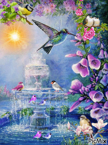 birds playing around the park fountain and the flowers,they are bathing in the warm sunlight. - GIF animé gratuit