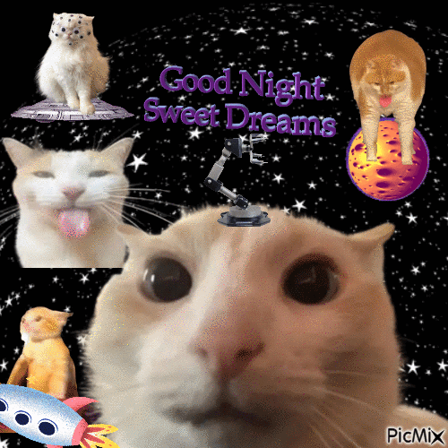 Cat Outer Space Night - GIF animé gratuit