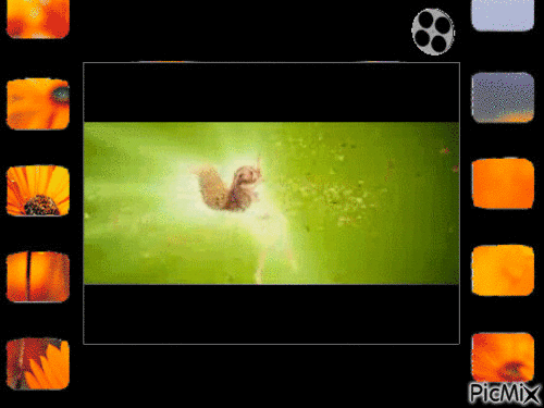 film TV - Zdarma animovaný GIF