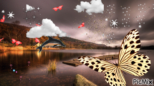 belle nuit avec papillons - GIF เคลื่อนไหวฟรี
