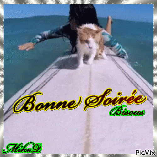 bonne soiree - Zdarma animovaný GIF
