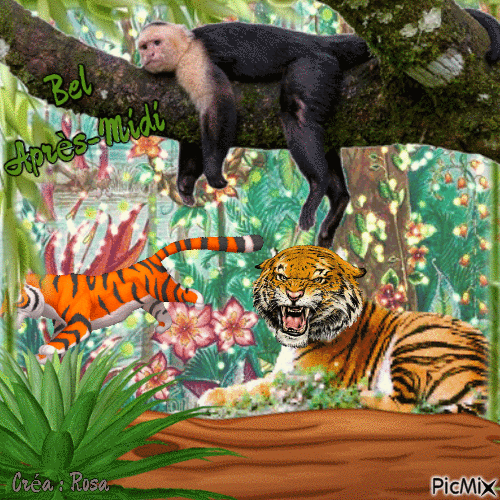 Concours : Tête de tigre en mouvement avec des animaux - Darmowy animowany GIF