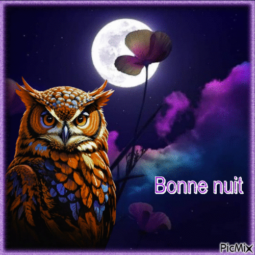 Une chouette nuit. - Free animated GIF
