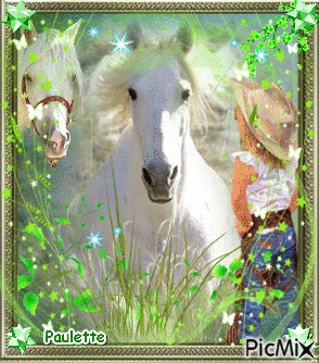 chevaux blanc - Nemokamas animacinis gif