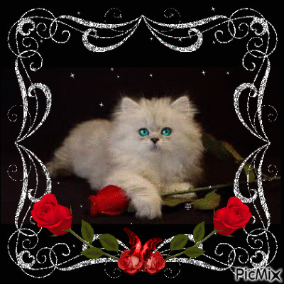 cat with flower - Gratis geanimeerde GIF