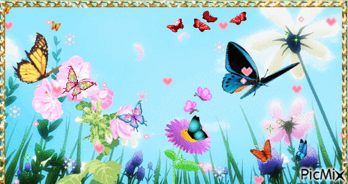Schmetterlinge 1 - GIF animasi gratis