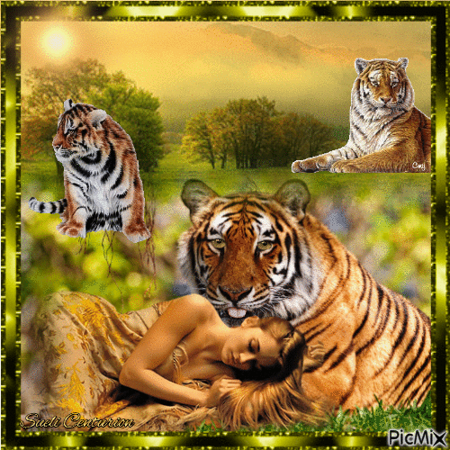A Mulher e seus tigres - GIF animado gratis