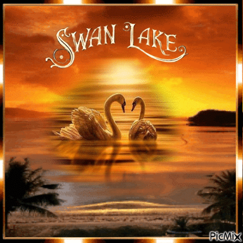 The swan lake - 免费动画 GIF