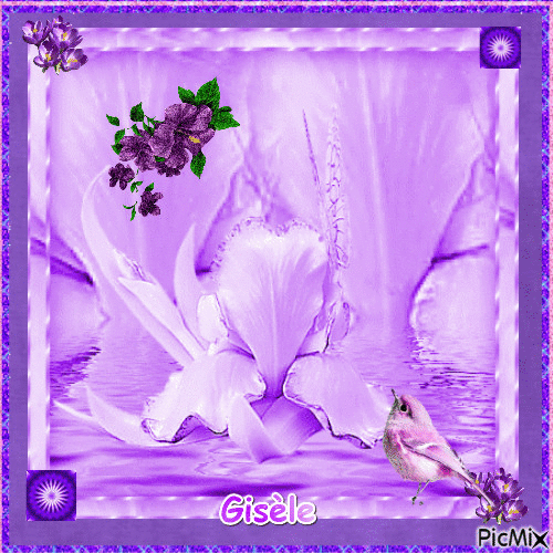 Parme & violet - Bezmaksas animēts GIF