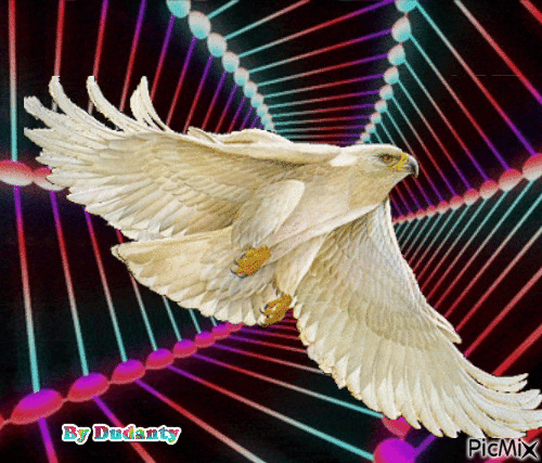 aguia - Besplatni animirani GIF