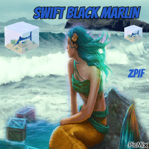Swift Black Marlin - GIF เคลื่อนไหวฟรี
