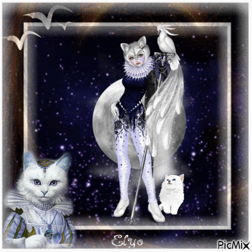 Chat au clair de lune - Free animated GIF