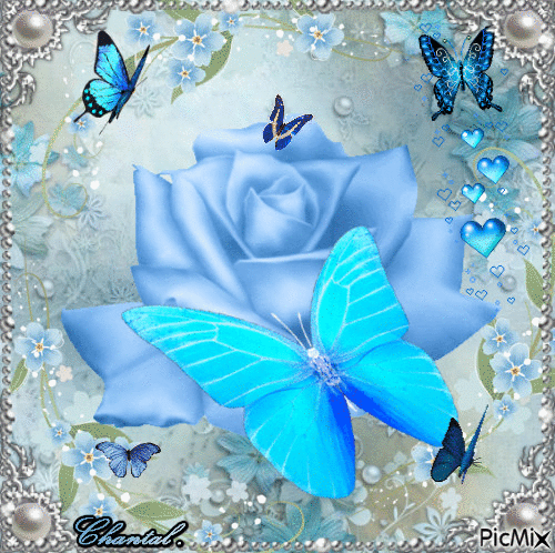 fleurs et papillons bleus - GIF animado gratis
