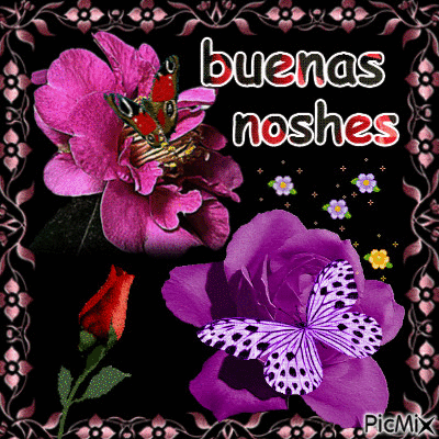 buenas  noches - Free animated GIF