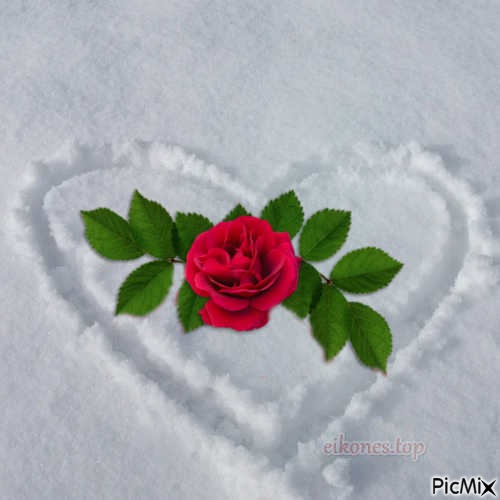 Καρδιά στο χιόνι - фрее пнг