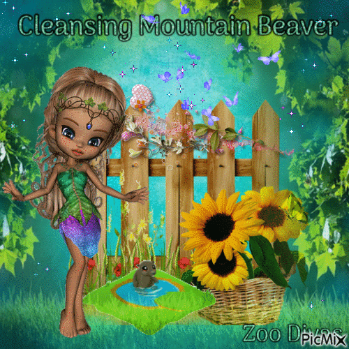 Cleansing Mountain Beaver - Free animated GIF
