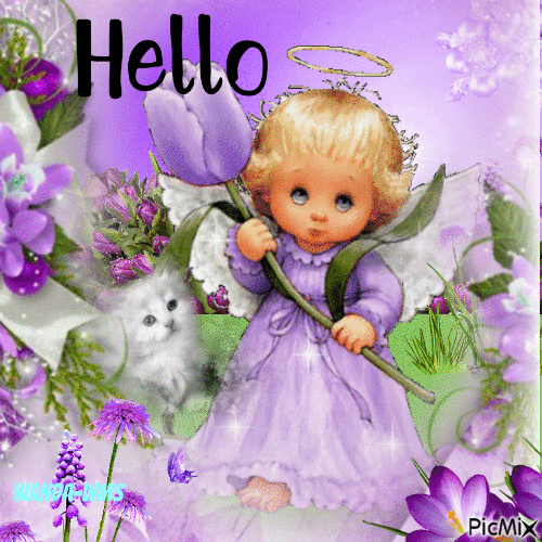 Hello-angels-purple-cats - Gratis geanimeerde GIF