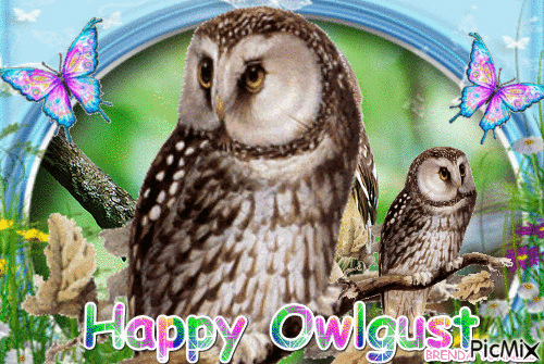 HAPPY OWLGUST - Nemokamas animacinis gif