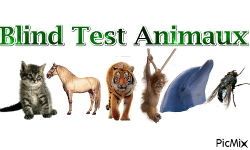 Blind Test Animaux - Безплатен анимиран GIF