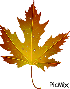 jesienny listek - Безплатен анимиран GIF