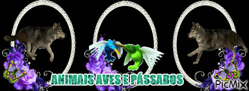 PASSAROS - Darmowy animowany GIF