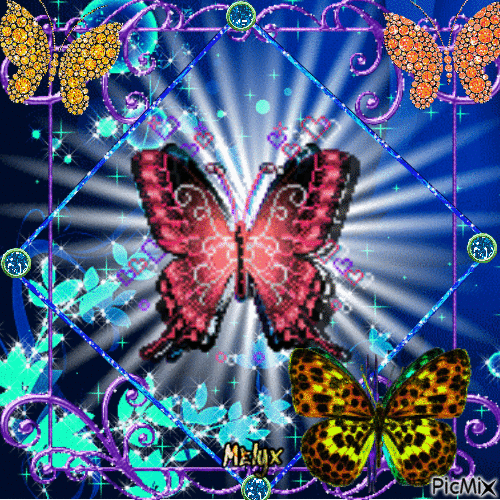 butterfly - GIF animate gratis