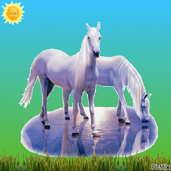les chevaux - Ücretsiz animasyonlu GIF