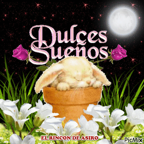 DULCES SUEÑOS - Zdarma animovaný GIF