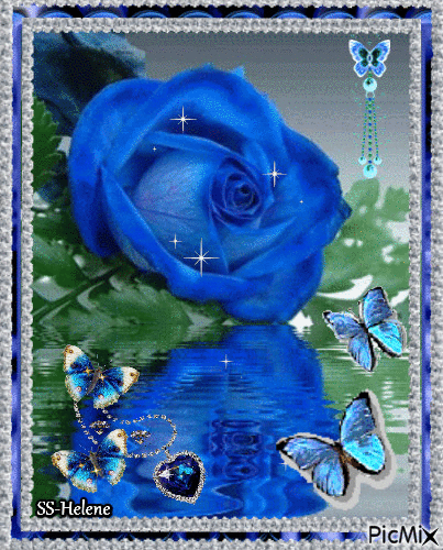 Blue rose. - Animovaný GIF zadarmo