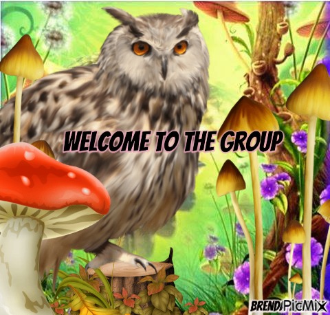 welcome owl - besplatni png
