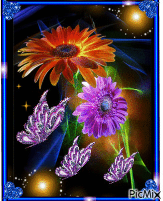 Flowers in difrent colors. 2 - Безплатен анимиран GIF