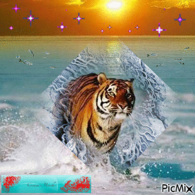 tigre au coucher de soleil - 免费动画 GIF