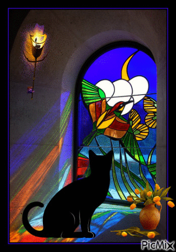 chat au vitrail - Darmowy animowany GIF
