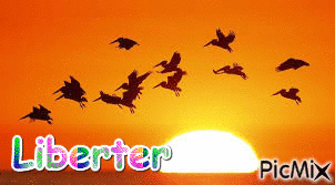 Liberter - GIF animado grátis