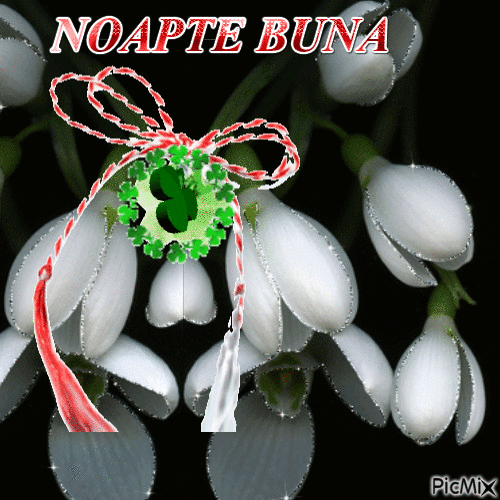 NOAPTE BUNA - GIF animado gratis