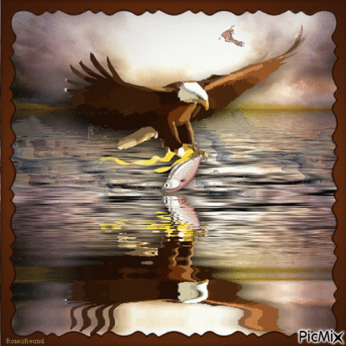 Adler mit Fisch - GIF animate gratis